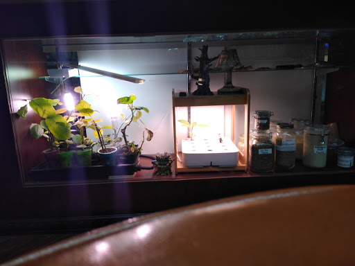 Cigar Shop «Royal Cigar and Tobacco», reviews and photos, 1512 Roswell Rd B, Marietta, GA 30068, USA