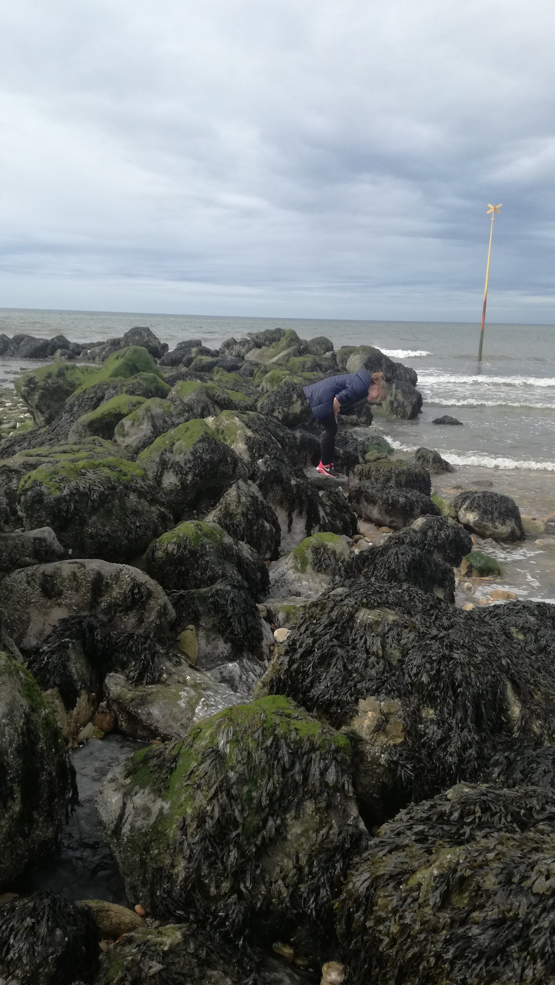 Photo n° 3 de l'avis de Bertin.A fait le 11/04/2018 à 13:20