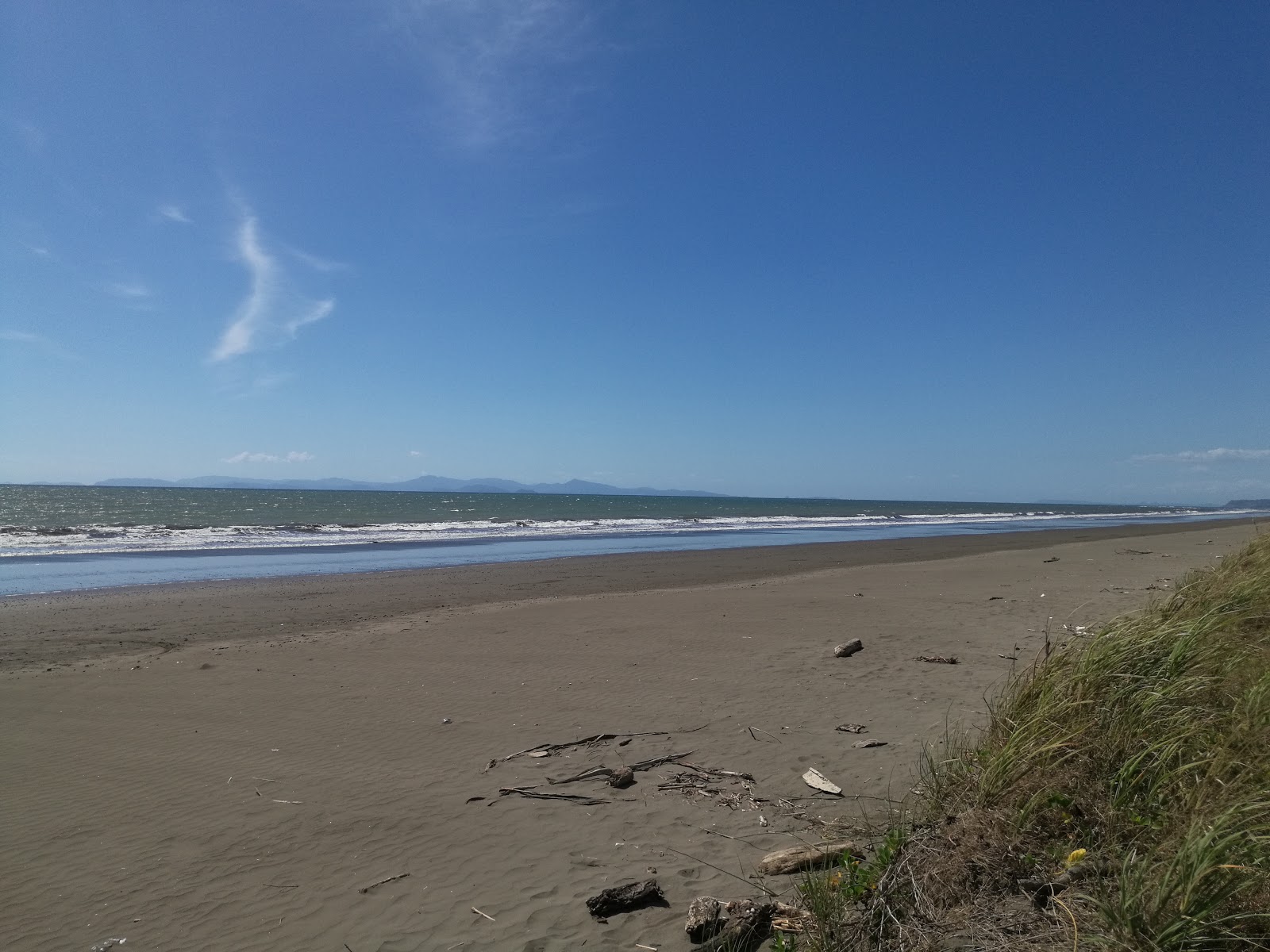 Photo of Playa Tarcoles located in natural area