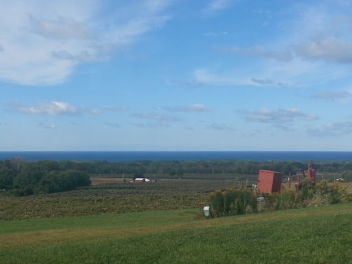 Winery «Noble Winery», reviews and photos, 8630 Hardscrabble Rd, Westfield, NY 14787, USA