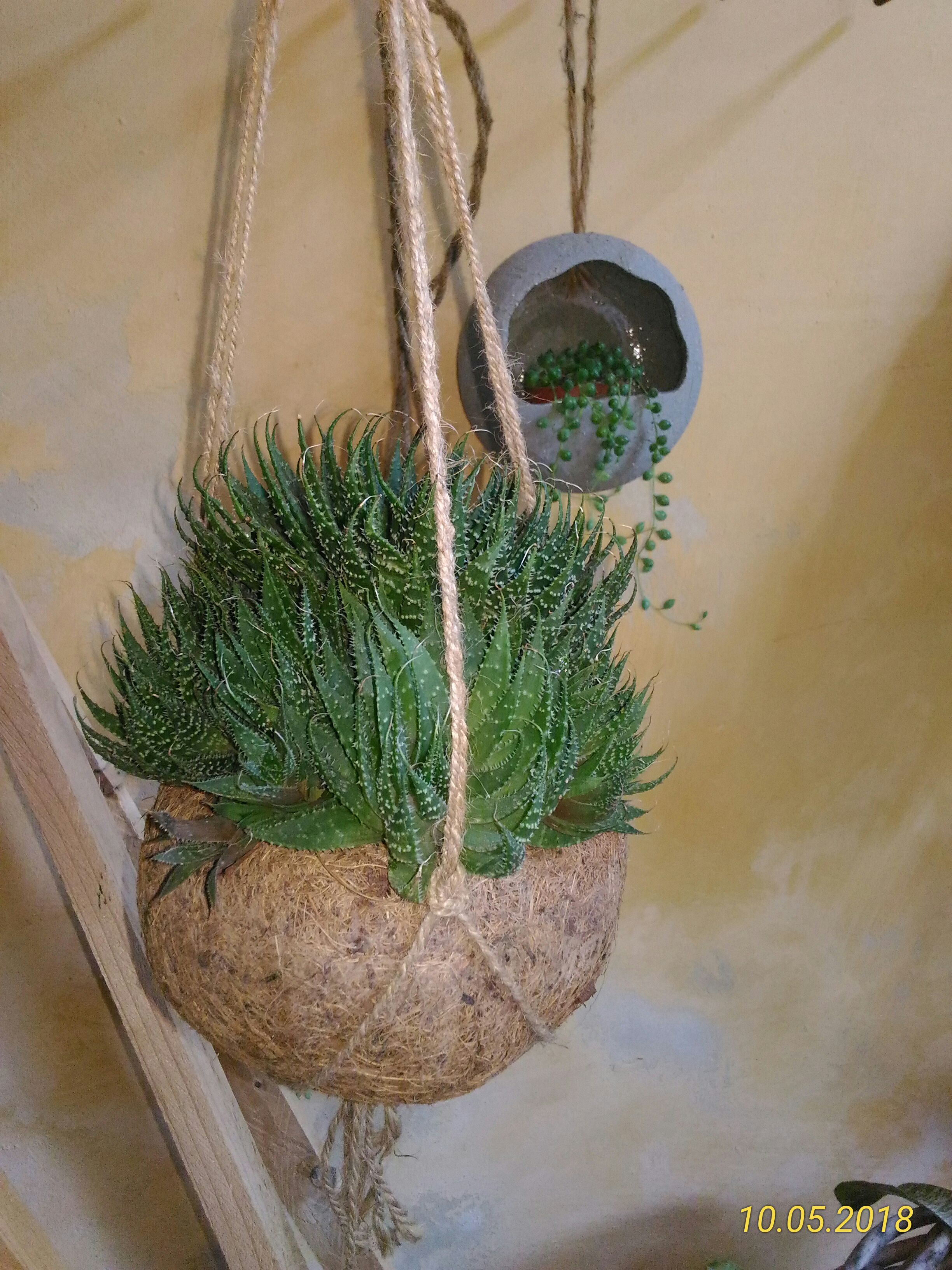 Photo n° 37 de l'avis de Marie.a fait le 13/05/2018 à 06:32