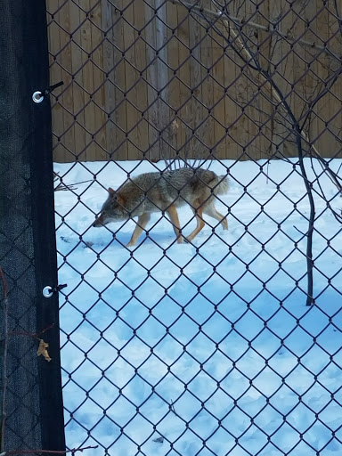 Natural History Museum «Cleveland Museum of Natural History», reviews and photos, 1 Wade Oval Dr, Cleveland, OH 44106, USA