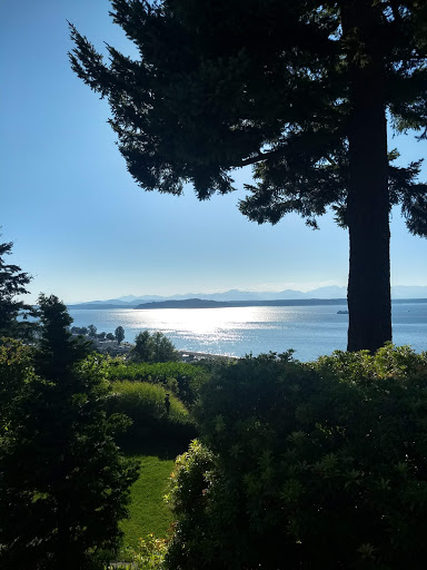 Park «Schmitz Preserve Park», reviews and photos, 5551 SW Admiral Way, Seattle, WA 98116, USA