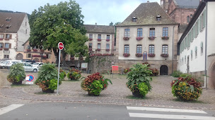 Photo n°35 de Restaurant Girardin - 1 étoile Michelin à Colmar ()