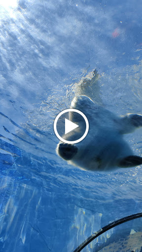 Zoo «Arctic Ring of Life», reviews and photos, 8450 W 10 Mile Rd, Royal Oak, MI 48067, USA