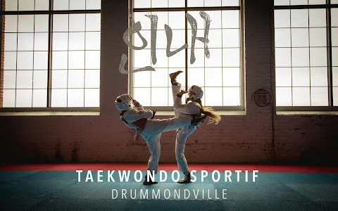 Taekwondo Drummondville image