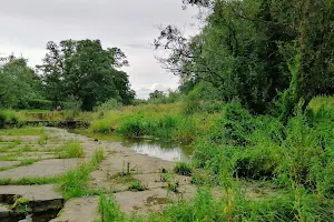 Lucan Demesne image