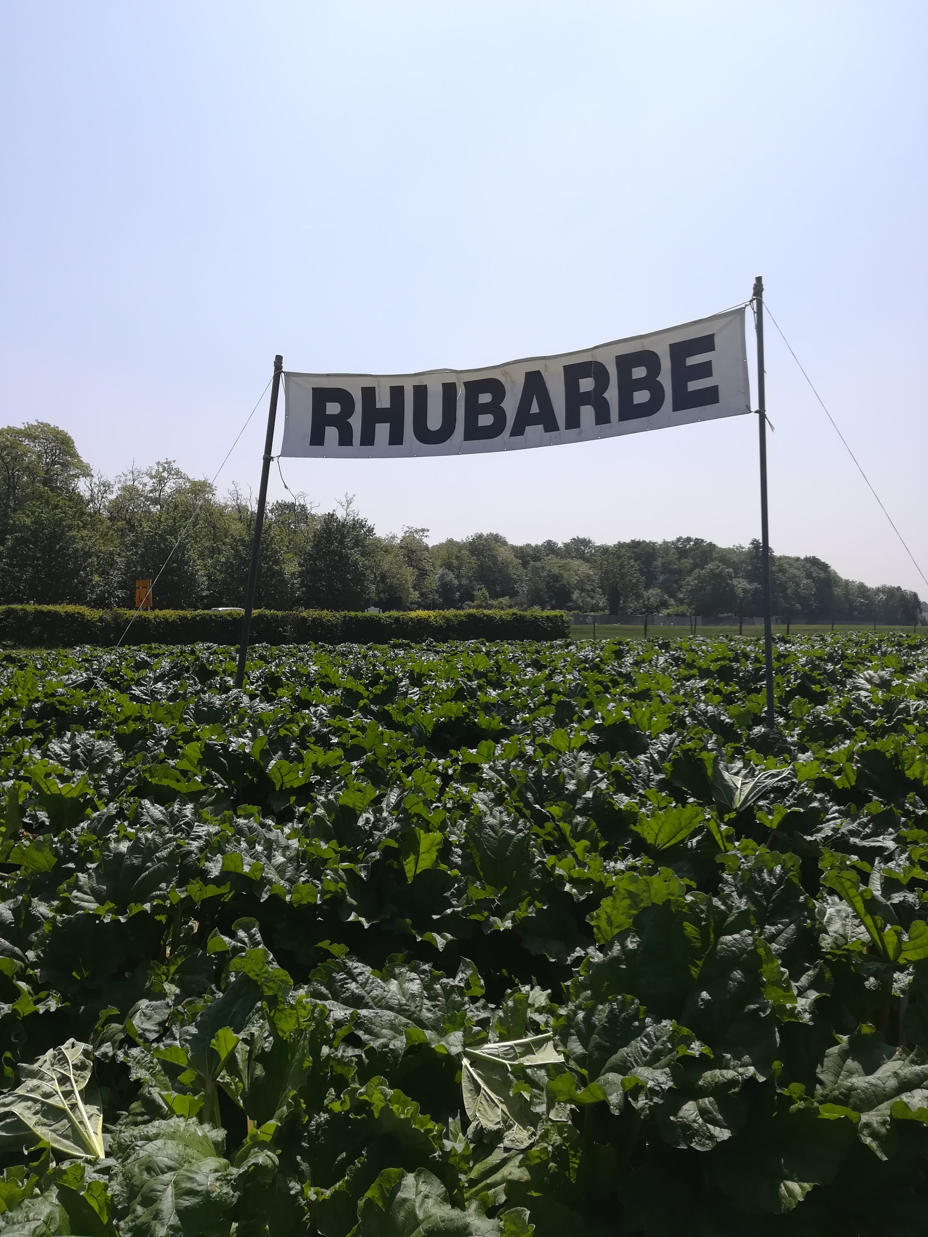 Photo n° 1 de l'avis de Naré.a fait le 25/05/2018 à 21:33