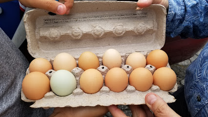 Rosencrantz Farm Eggs