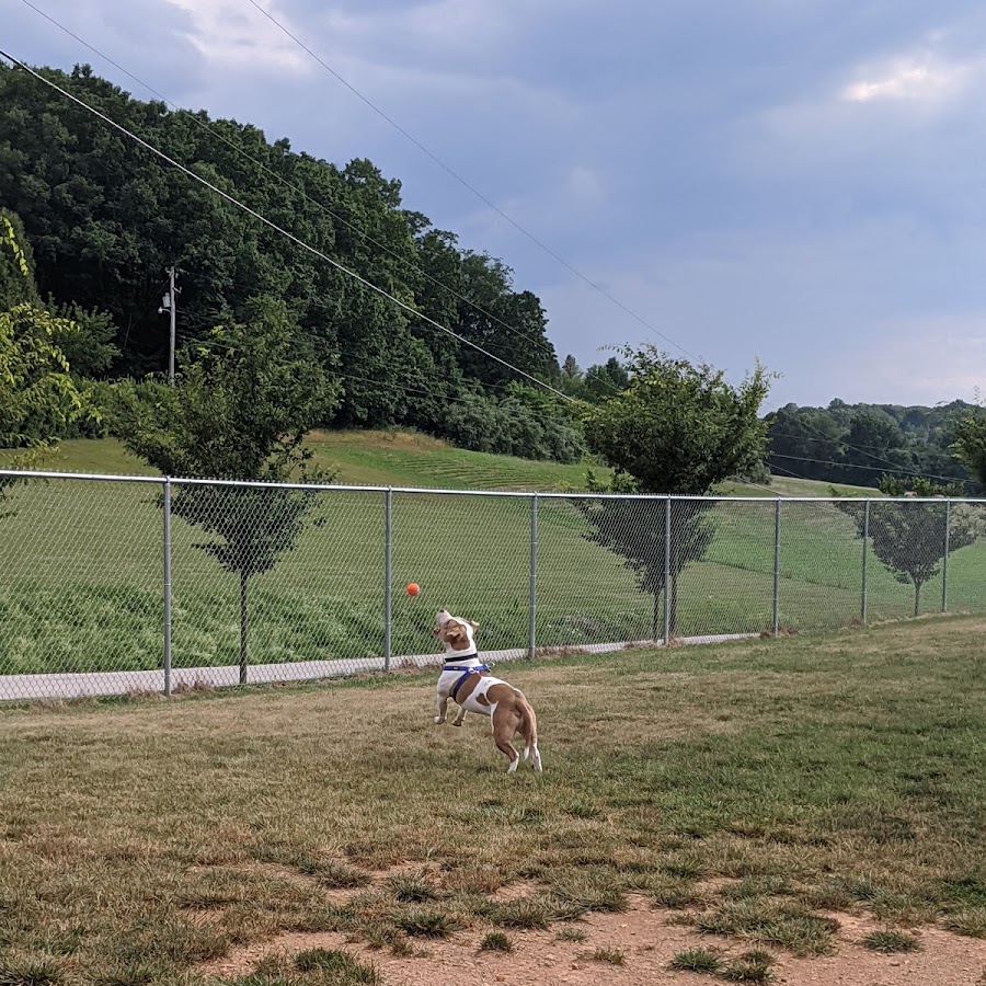 Glen Rock Dog Park