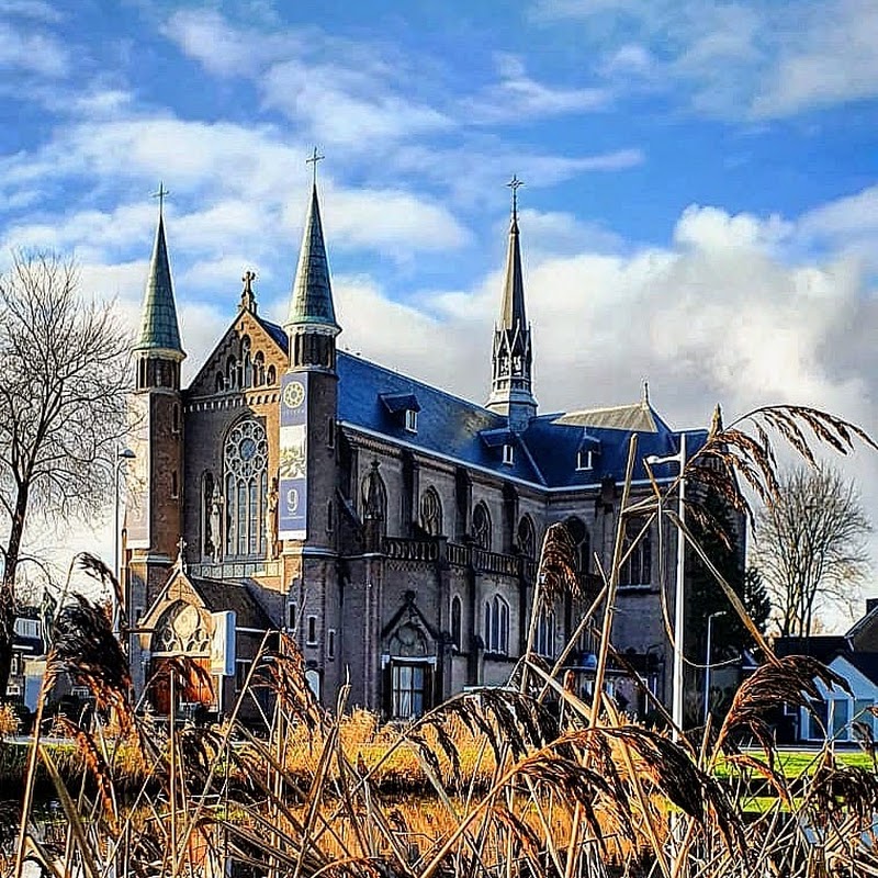 Stadswandeling Alkmaar