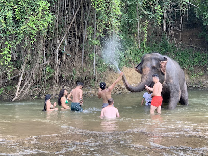 Thom's Pai Elephant Camp
