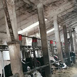 Photo n°8 de l'avis de Aida.a fait le 24/07/2021 à 10:28 sur le  Azienda Agricola La Quadra à Drena