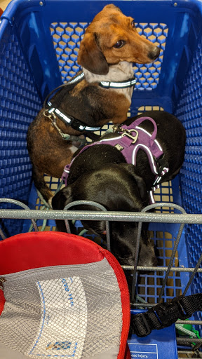 Pet Supply Store «PetSmart», reviews and photos, 3803 Venture Dr, Duluth, GA 30096, USA