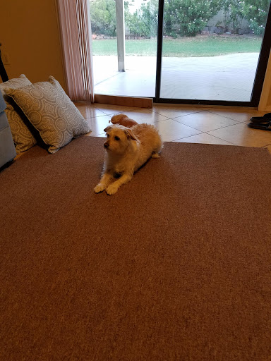 Park «Crossed Arrows Park», reviews and photos, 6102 E Acoma Dr, Scottsdale, AZ 85254, USA