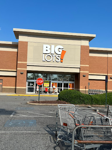 Discount Store «Big Lots», reviews and photos, 610 Holcomb Bridge Rd #300, Roswell, GA 30076, USA
