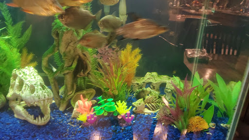 Pet Supply Store «PetSmart», reviews and photos, 1300 John F Kennedy Rd, Dubuque, IA 52002, USA