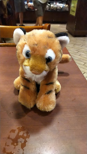 Coffee Shop «Starbucks», reviews and photos, 3065 Forrest Rd, Fort Campbell, KY 42223, USA