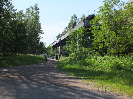 Katowicki Park Leśny