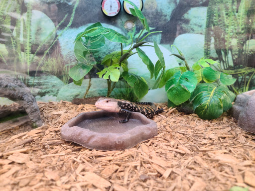 Pet Supply Store «Petco Animal Supplies», reviews and photos, 7215 170th Ave NE #115, Redmond, WA 98052, USA