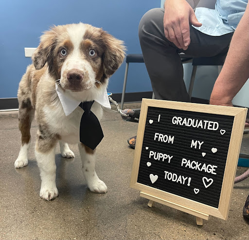 PetWellClinic - Parker image