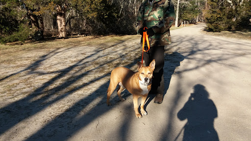 Community Park «Wells Mills County Park», reviews and photos, 905 Wells Mills Rd, Waretown, NJ 08758, USA