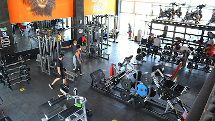 Empire Fitness Los Heroes - Anillo Perif. Ecológico Sur 801, Arboledas del Pedregal, Los Héroes Puebla 1° Sección, 72490 Puebla, Pue., Mexico