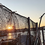 Photo n° 2 de l'avis de Jérémie.a fait le 17/09/2022 à 08:03 pour Le ponton à La Seyne-sur-Mer