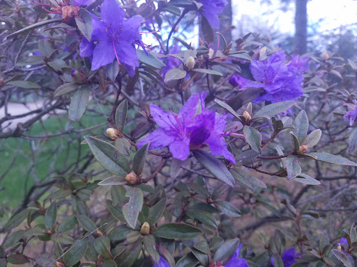 Park «Sacajawea Park», reviews and photos, 1401 S Dash Point Rd, Federal Way, WA 98003, USA