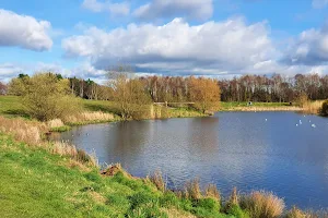 Tymon Park image