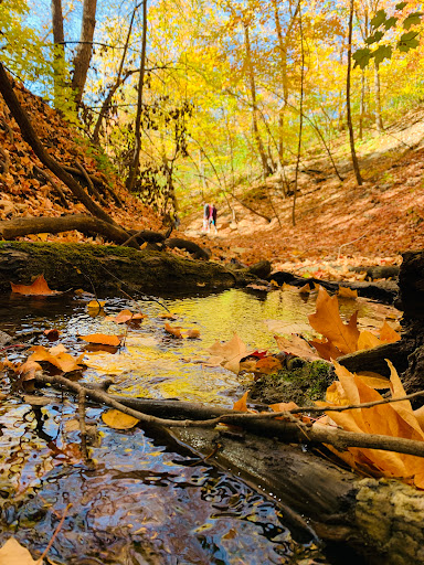 Park «Shadow Falls Park», reviews and photos, 30 N Mississippi River Blvd, St Paul, MN 55104, USA