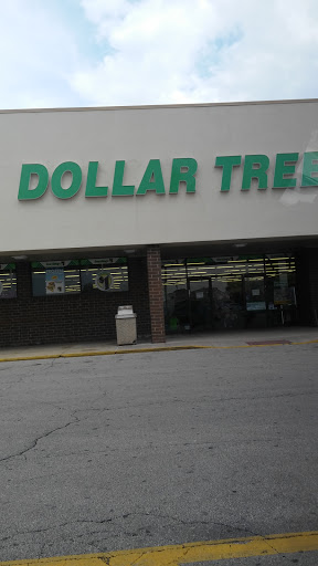 Dollar Store «Dollar Tree», reviews and photos, 1800 Douglas Rd, Montgomery, IL 60538, USA