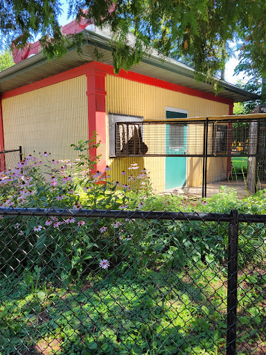 Zoo «NEW Zoo & Adventure Park», reviews and photos, 4378 Reforestation Rd, Green Bay, WI 54313, USA