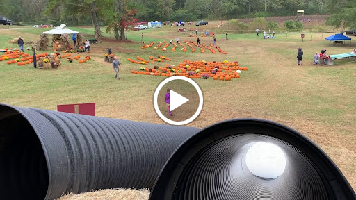 Tourist Attraction «Still Family Farm, LLC», reviews and photos, 5630 Macland Rd, Powder Springs, GA 30127, USA