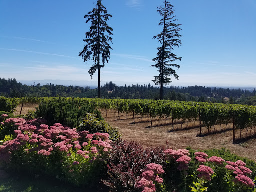 Winery «JK Carriere», reviews and photos, 9995 NE Parrett Mountain Rd, Newberg, OR 97132, USA