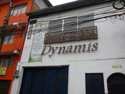 Academia Dynamis
