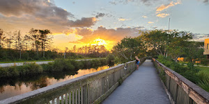 Big Cypress Oasis Visitor Center