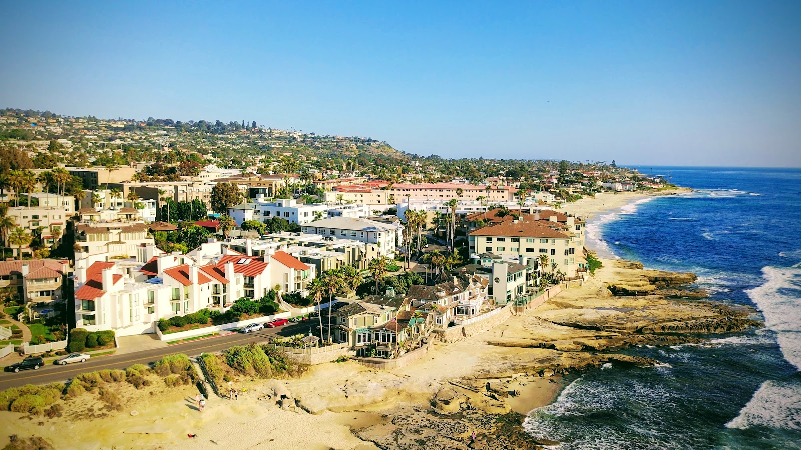 La Jolla Tide Pools photo #9