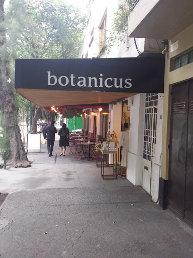 Botanicus