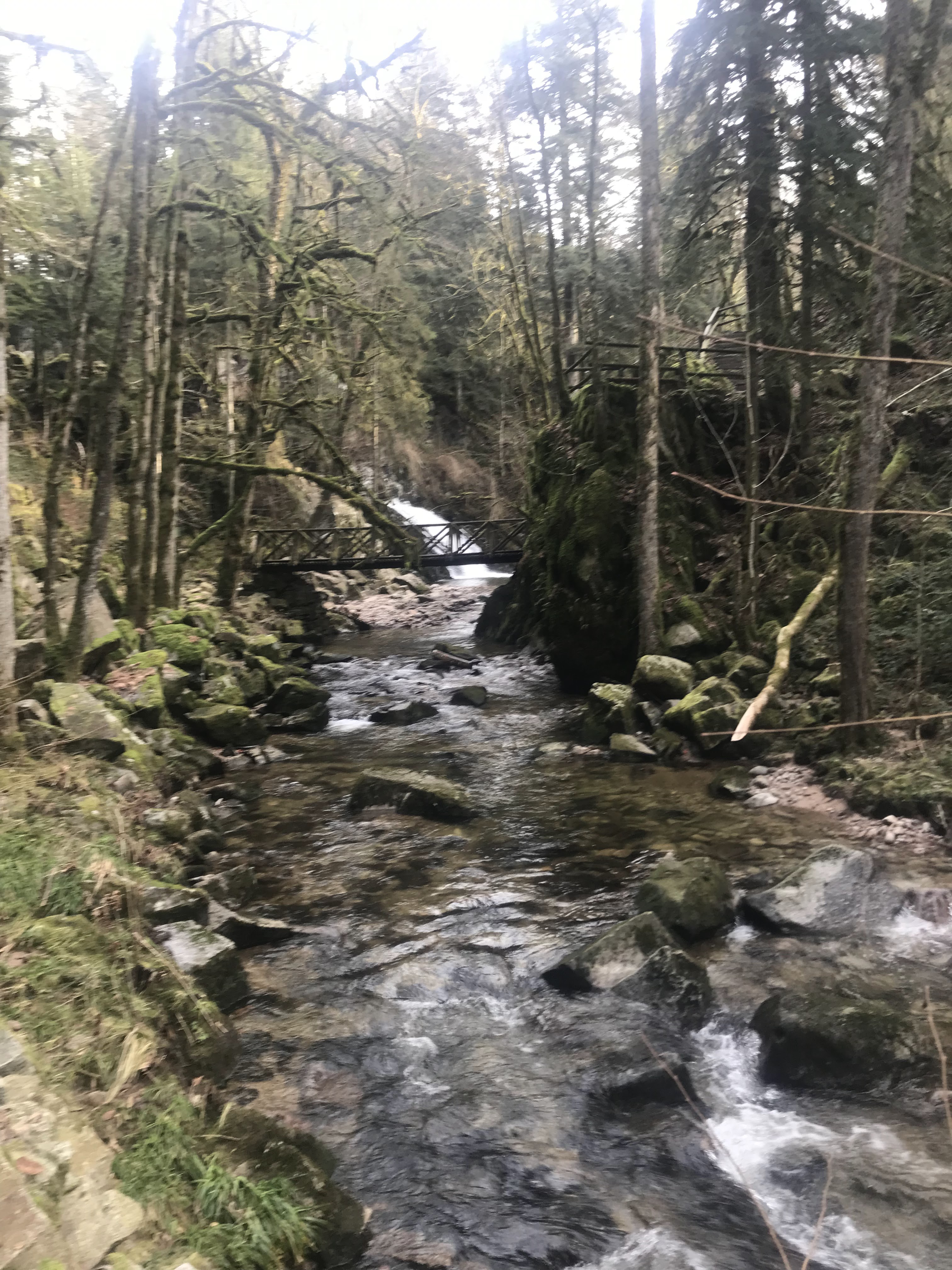 Photo n° 2 de l'avis de julien.u fait le 09/01/2019 à 16:48