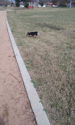 Park «Lackland Terrace Park», reviews and photos, 7902 Westshire Dr, San Antonio, TX 78227, USA