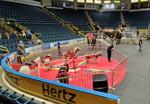 Arena «Germain Arena», reviews and photos, 11000 Everblades Parkway, Estero, FL 33928, USA