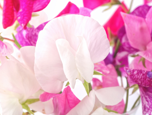 Florist «BOUQUETS», reviews and photos, 1525 15th St, Denver, CO 80202, USA