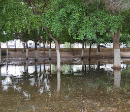 Parque Madero photo