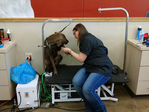 Pet Supply Store «Pet Supplies Plus», reviews and photos, 120 Sara Way, Belle Vernon, PA 15012, USA