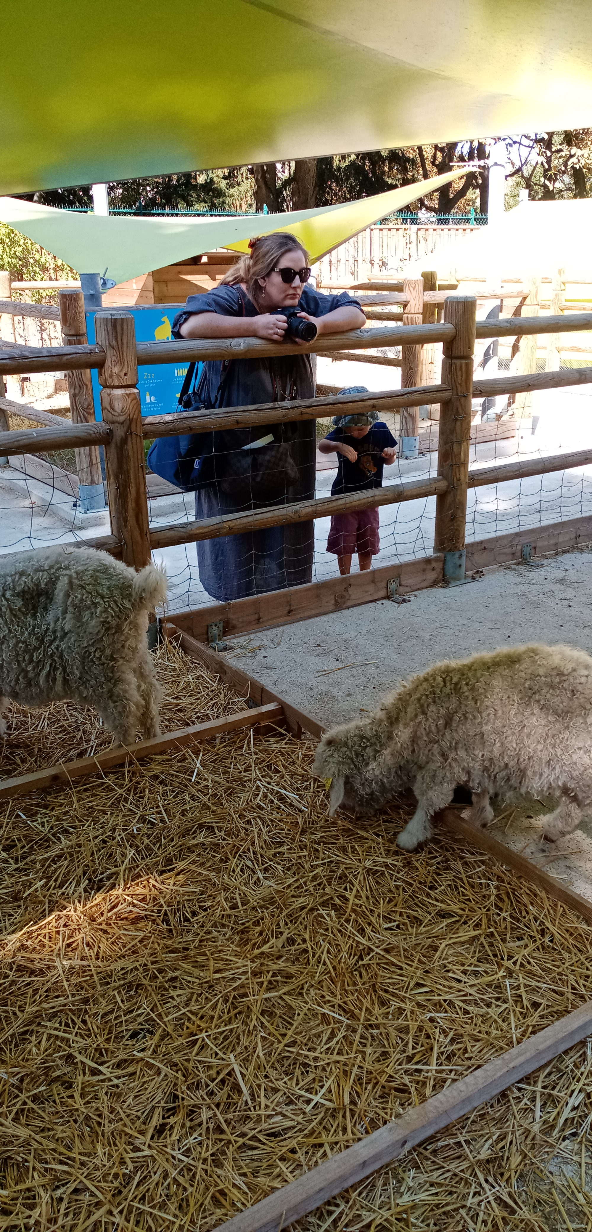 Photo n° 1 de l'avis de Stéphane. fait le 18/09/2019 à 11:06