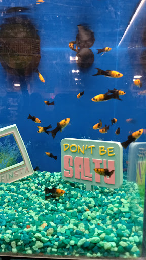 Pet Supply Store «PetSmart», reviews and photos, 24005 U.S. 27, Lake Wales, FL 33859, USA