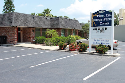 Palma Ceia Chiropractic and Wellness Center