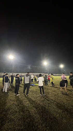 Opiniones de Estadio viluco en Buin - Campo de fútbol