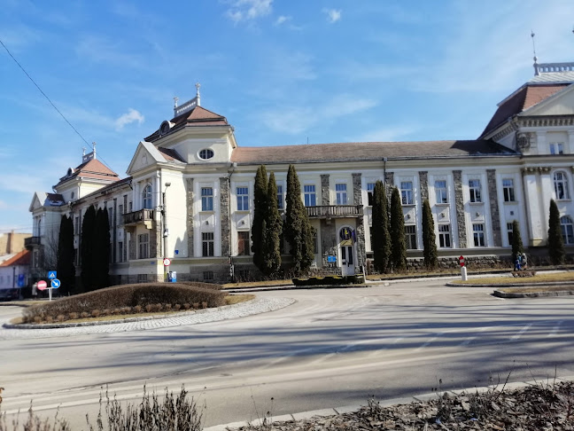 Primăria Municipiului Miercurea Ciuc